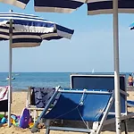 Alga Blu Sul Mare