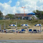 Alga Blu Sul Mare