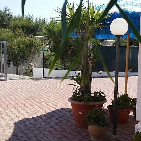 Alga Blu Sul Mare 3*