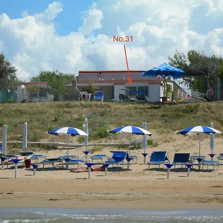 Alga Blu Sul Mare